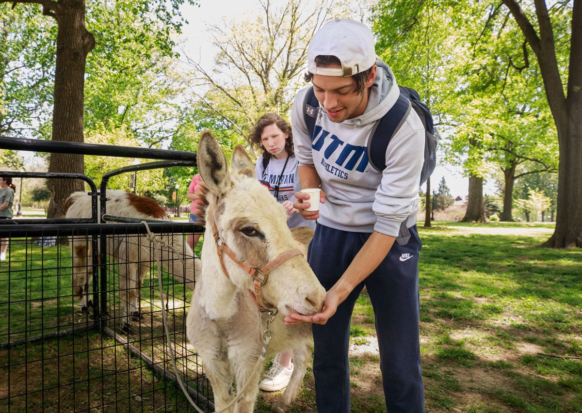 Student at petting zoo